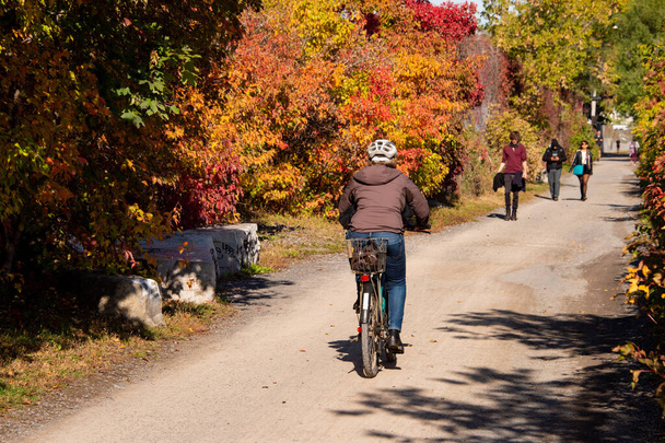 Montreal, CA - 10 October 2019: Cyclist riding a bike on Des Carrieres cycle path in Autumn. - Zdjęcie, obraz