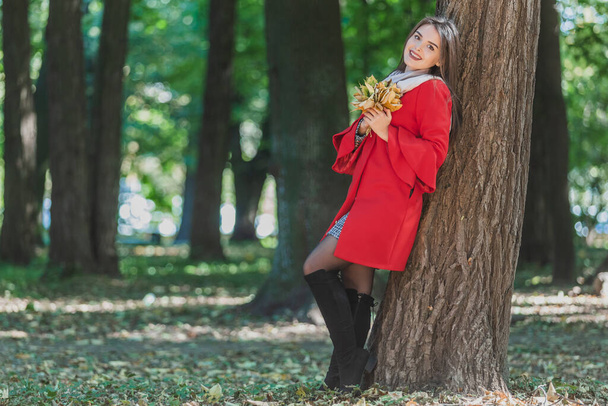 Winsome caucasian woman with a bouquet of leaves posing near tree outdoors in autumn park. - Fotoğraf, Görsel