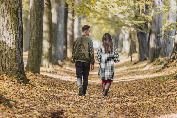 Rear view of young couple walking in park during autumn. - 写真・画像