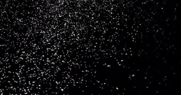 Skutečný sníh na černém pozadí - Záběry, video