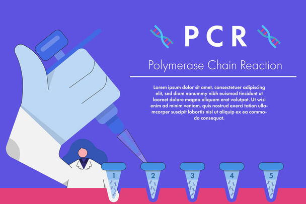 Mediziner übertragen extrahierte DNA-Probe im Reagenzglas zum Amplifikationsprozess durch Polymerase-Kettenreaktion oder PCR. Konzept medizinisch-wissenschaftliches Charakterdesign. - Vektor, Bild