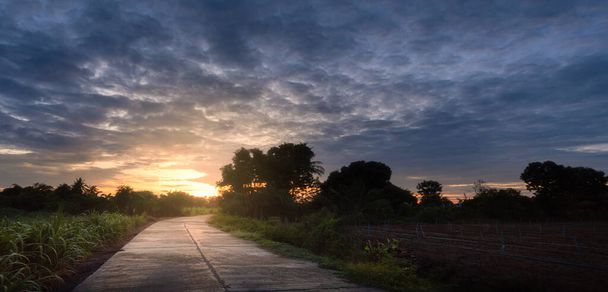 パノラマ、通りと朝の光、風景写真、朝と朝の光、新しい朝のアイデア - 写真・画像