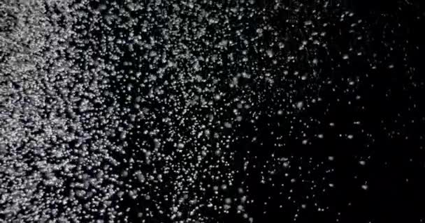 Schneeflocken fallen in Zeitlupe - Filmmaterial, Video