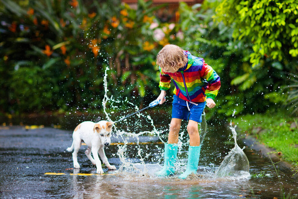 Dzieciak i pies bawiący się w deszczu w jesiennym parku. Dziecko chodzącego szczeniaka. Mały chłopiec skaczący w błotnistej kałuży w deszczowy jesienny dzień. Buty i kurtka przeciwdeszczowa, strój zewnętrzny. Obuwie i płaszcz dla dzieci wodoodporne. - Zdjęcie, obraz