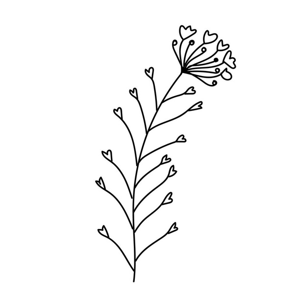 Ziołowy Bursae pastoris ręcznie rysowane ilustracji w wektorze. Ikona dzikiego kwiatu. - Wektor, obraz