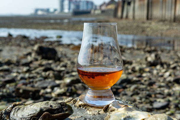 Proeverij glas Scotch whisky en zee achtergrond bij eb, rokerige whisky koppeling met oesters - Foto, afbeelding