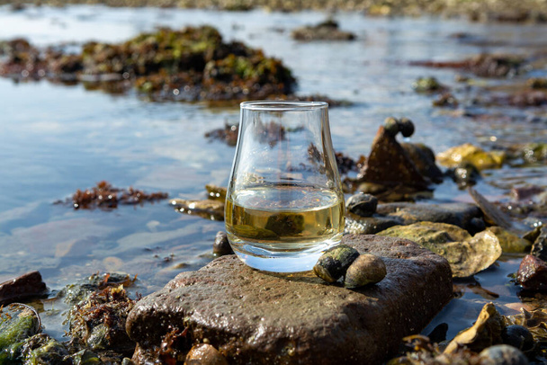 Szkło degustacyjne szkockiej whisky i tło brzegów morza podczas odpływu, smoky whisky sparowanie z ostrygami - Zdjęcie, obraz