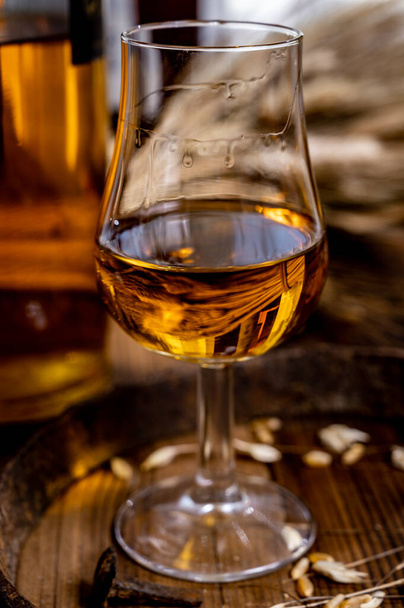 Ochutnávka sklenice se starou skotskou whisky nebo americký bourbon na starém tmavém dřevěném vinobraní stolu s ječmennými zrny - Fotografie, Obrázek