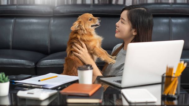 mooie jonge aziatische vrouw werken op afstand van huis en glimlachen terwijl liegen, heeft goede relaties met een grappige assistent hond huisdier, huiswerk huisdieren concept - Foto, afbeelding