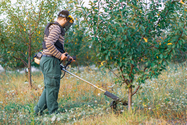 Fiatal gazda kertész vágás fű gyomok a gyümölcsös szilva ültetvény segítségével trimmer benzin kefevágó - Fotó, kép