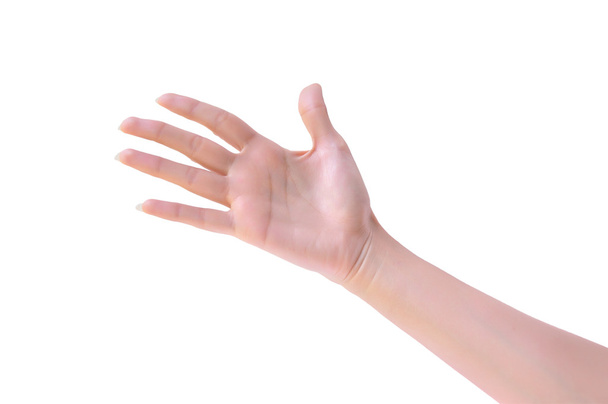 Main de femme
 - Photo, image