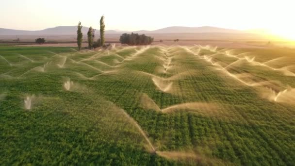 Bewässerungssysteme befinden sich bei Sonnenuntergang auf einem landwirtschaftlichen Feld. Luftaufnahme. - Filmmaterial, Video