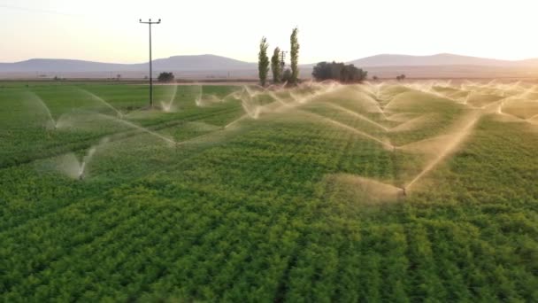 Irrigatiesystemen bevinden zich bij zonsondergang op landbouwgebied. Luchtzicht. - Video