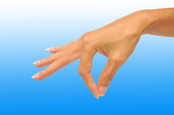 Ženské ruce - Fotografie, Obrázek