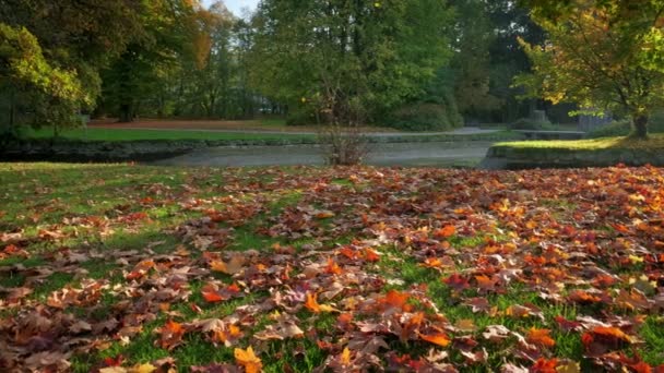 Złota jesień jesień w słynnym Monachium miejsce relaksu - angielski ogród. Angielski ogród z opadłymi liśćmi i złotym słońcem w październiku. Jasne kolory natury. Munchen, Bawaria, Niemcy - Materiał filmowy, wideo