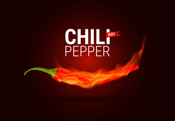 Hot chili peper branden in brand op zwarte achtergrond, Vector realistische 3D illustratie, Burning Chili Pepper. Voedselconcept. - Vector, afbeelding