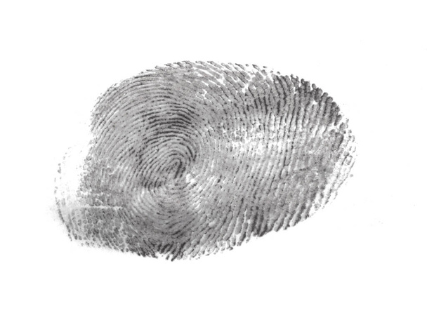 fingerprint isolated on white background - Photo, Image