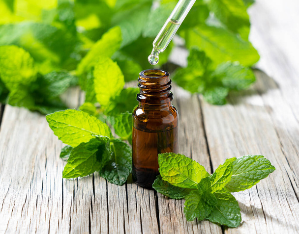 Drip mint essential oil with an eyedropper into a bottle set against the backdrop of an old tree. Mint leaves around. - Photo, Image