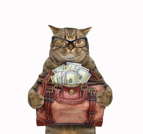 The beige cat in glasses is holding a leather bag full of usa dollars. White background. Isolated. - Foto, imagen