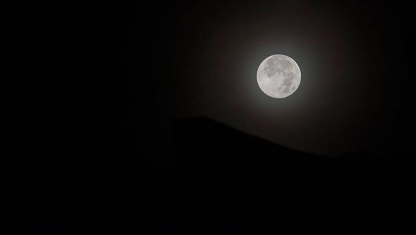 éji holdat látni a levelek sziluettjén keresztül. - Fotó, kép