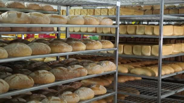 Leipomotuotteiden tuotanto. Leipomon hyllyillä on vastaleivottua punertavaa leipää. Leipomon hyllyillä on paljon leipää.
. - Materiaali, video