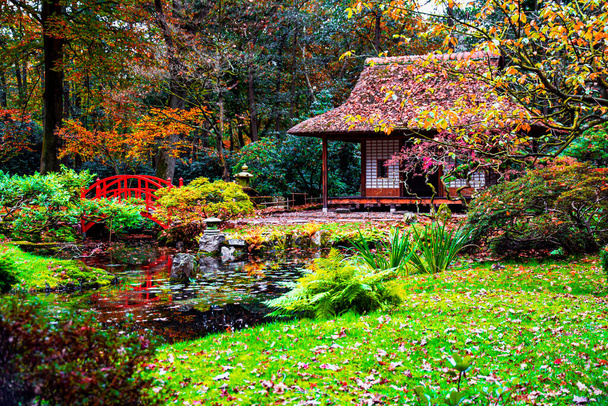 Romantique Jardin public japonais de La Haye en automne
 - Photo, image