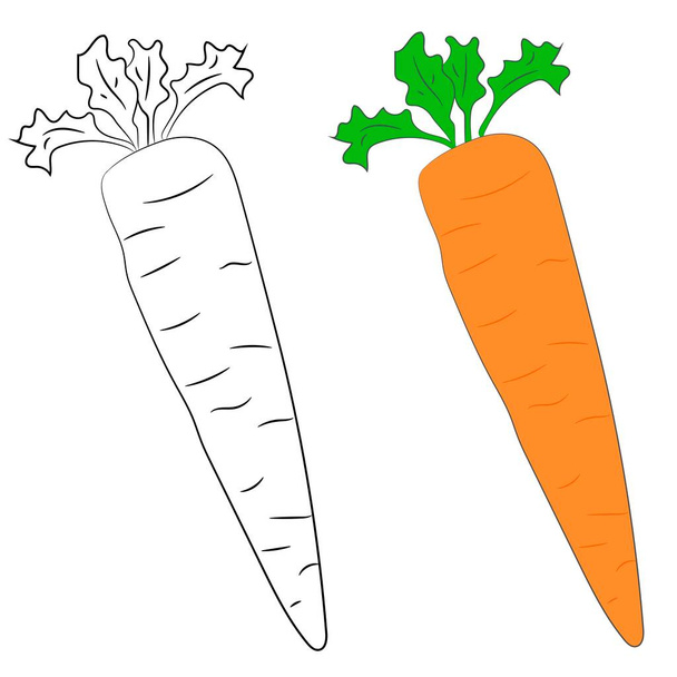 Vector illustration flat design. Carrots in black and white and color. - Vector, Image