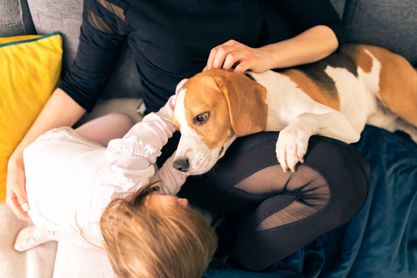 Fiatal anya 2 éves lánya egy kanapén fényes szobában kisállat a beagle kutya. Családi koncepcióval rendelkező háziállatok - Fotó, kép