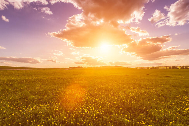 Nascer do sol ou pôr do sol em um campo coberto com grama verde jovem e dentes-de-leão floridos amarelos, uma colina no fundo e um céu nublado com raios de sol cortando as nuvens
. - Foto, Imagem