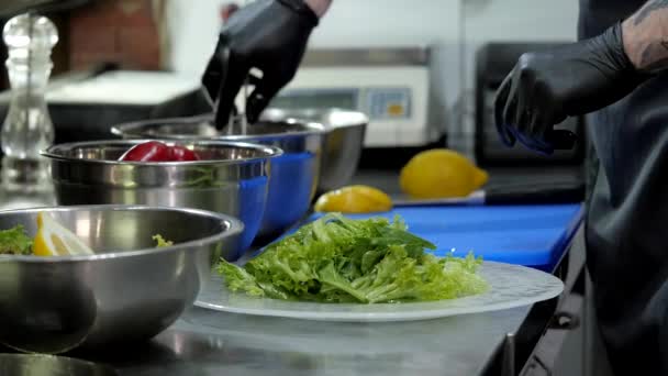Laying Shrimp on Lettuce - Πλάνα, βίντεο
