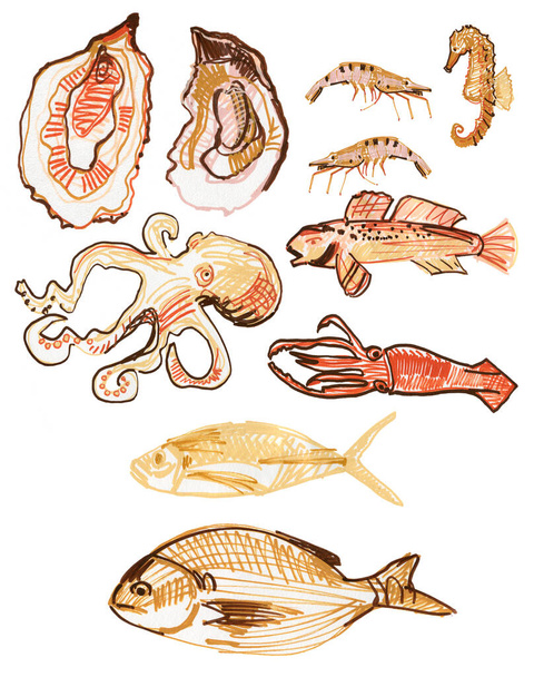 Variété de fruits de mer isolés sur fond blanc
 - Photo, image