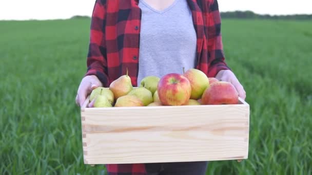 Close-up van de vrouw boer met houten doos met fruit en gaat over het veld, slow motion - Video