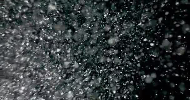 vallende sneeuwvlokken op zwarte achtergrond - Video