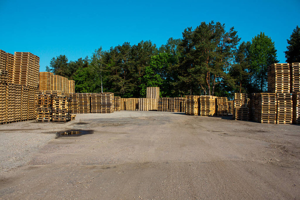 Grande magazzino di pallet in legno per la movimentazione delle merci
. - Foto, immagini