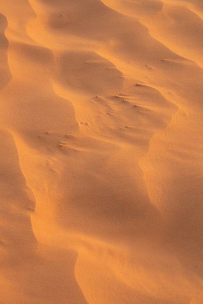 Tervetuloa etelään tunisia: ksar ghilane ja alkaa Saharan autiomaassa - Valokuva, kuva