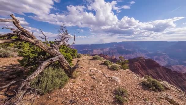 timelapse of the grand canyon on a cloudy day - Footage, Video