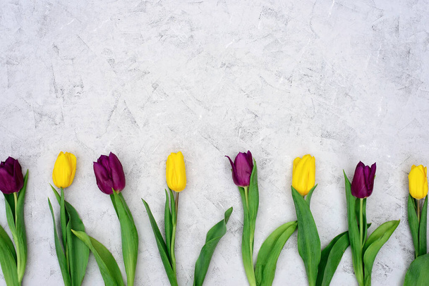 Een rij gele en paarse lentetulp bloemen tegen een licht stenen achtergrond. Plat gelegd. Begrepen, ruimte. Moederdag. Internationale Vrouwendag. - Foto, afbeelding