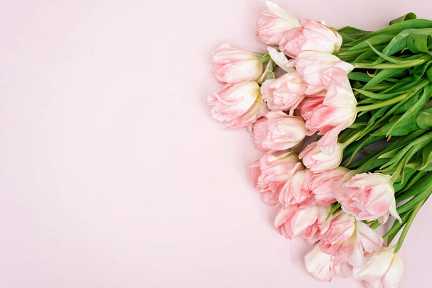 Spring greeting card template of fresh flowers of pink tulips for Mother's Day, Birthday, Easter, Women's Day. Copy space. Soft selective focus. - Foto, imagen