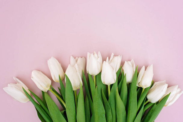 Spring greeting card template of fresh flowers of white tulips for Mother's Day, Birthday, Easter, Women's Day. Copy space. Soft selective focus. - Photo, image