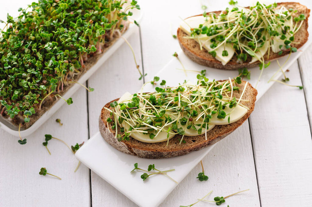 бутерброд з зеленими молодими паростками, мікрозеленою і моцарелою, здорова і здорова закуска
 - Фото, зображення