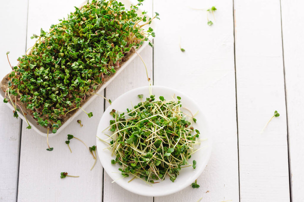 green young sprouts of microgreen radish grown at home on a micro farm - Fotoğraf, Görsel
