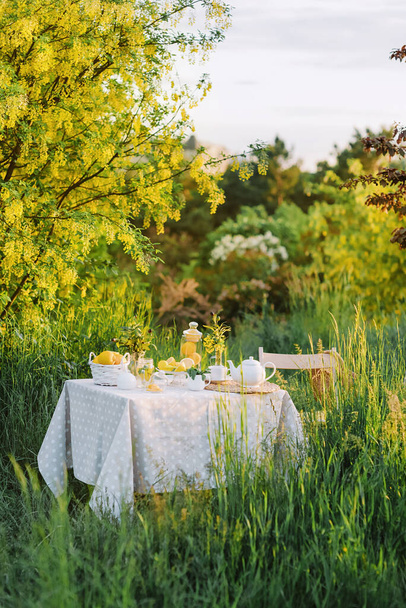 Açık havada piknik. Piknik hazırlıkları. Bahçe dekorasyonu - Fotoğraf, Görsel