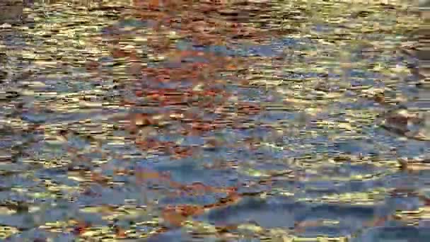 Mavi su nehri yüzeyindeki altın güneş ışığı yansıması güzel dalgalanmalar, doku ve ritmik desenler yaratıyor.. - Video, Çekim