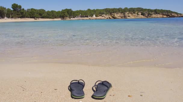 Ostrov Ibiza. Malá pláž Cala Tarida. Ostrov Ibiza, Španělsko. - Záběry, video