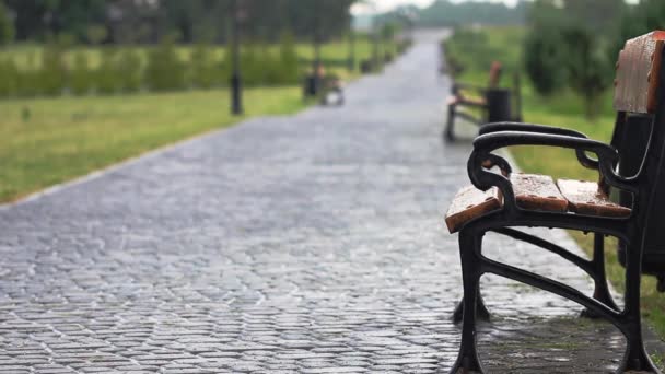 Lavička v parku u chodníku v silném dešti - Záběry, video