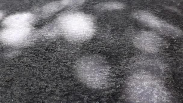 Schön bewegendes abstraktes Sonnenlicht und Schatten von Baumblättern auf Betonboden. - Filmmaterial, Video