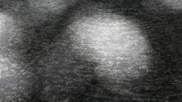 Schön bewegendes abstraktes Sonnenlicht und Schatten von Baumblättern auf Betonboden. - Filmmaterial, Video