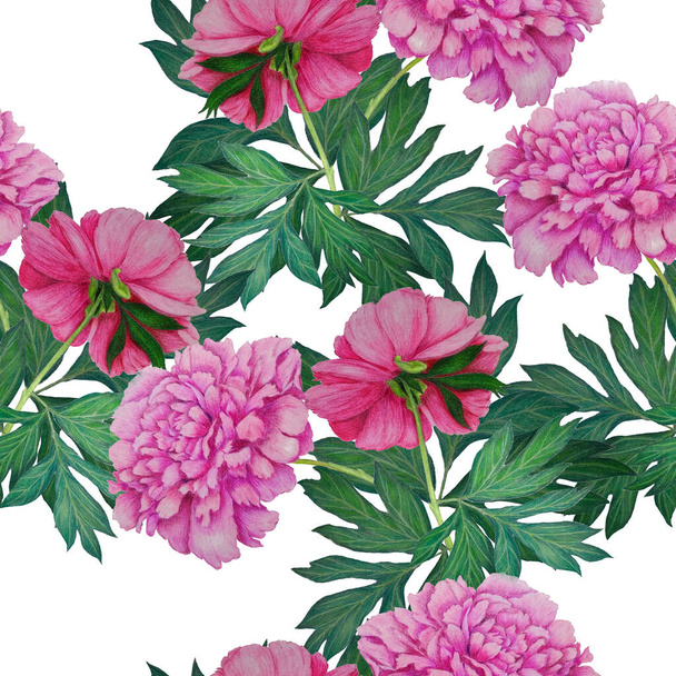 Floral seamless pattern with beautiful blooming peonies. Decorative botanic Peony flower print. Hand drawn crayon illustration. - 写真・画像
