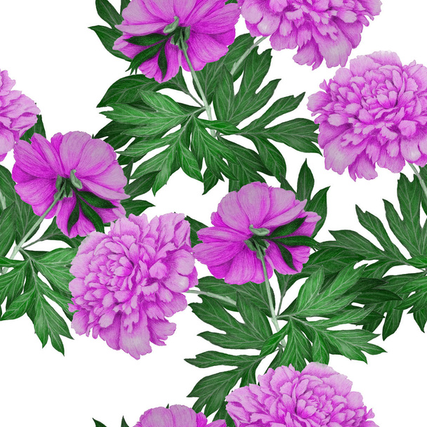 Floral seamless pattern with beautiful blooming peonies. Decorative botanic Peony flower print. Hand drawn crayon illustration. - Photo, image