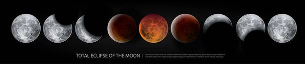Movimientos de las fases lunares Ilustración vectorial realista
 - Vector, imagen